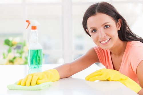 Regular cleaning service for a Roehampton home interior