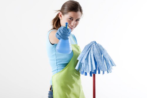 Window cleaning for Roehampton homes with clean glass and tidy frames