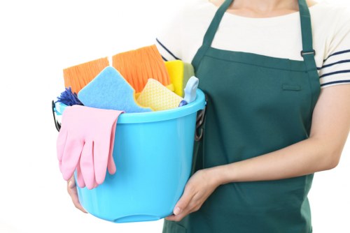 Professional sofa cleaning service for Roehampton homes