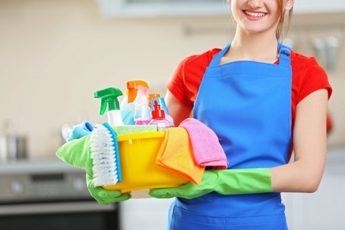 Professional rug cleaning service for Roehampton homes and apartments