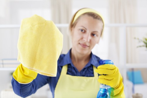 Professional one off cleaning service in a Roehampton home