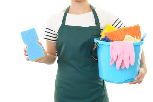 Professional carpet cleaning service for Roehampton homes