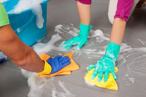 Professional Roehampton carpet cleaners refreshing a living room carpet