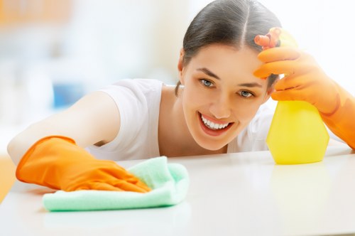 Professional oven cleaning service for Roehampton homes
