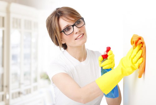 Weekly domestic cleaning for a Roehampton household
