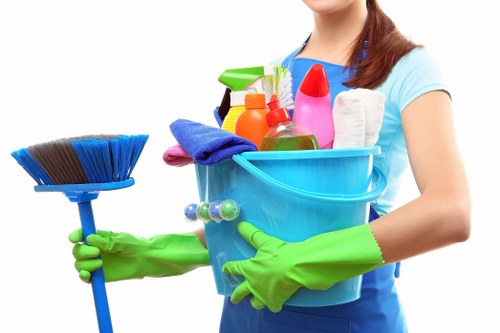 Local window cleaner servicing residential properties in Roehampton