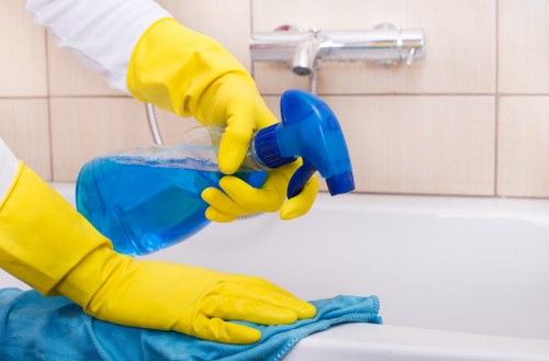 Kitchen and bathroom routine cleaning in Roehampton