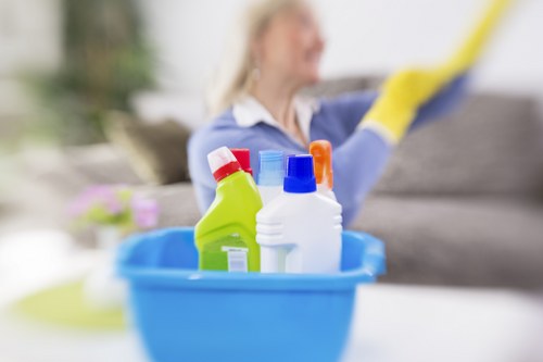 Professional cleaners supporting Roehampton households and flats
