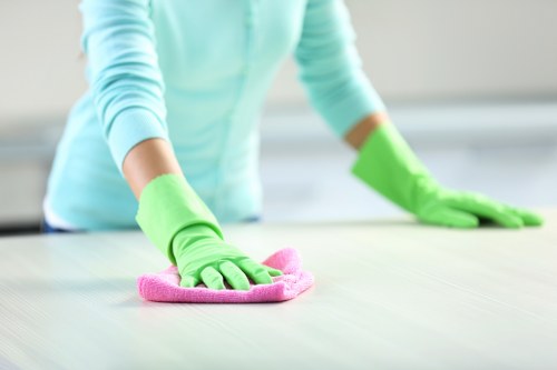 Flexible domestic cleaning support for homes in Roehampton