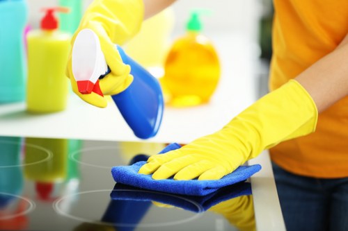 Final sparkle clean after building work in Roehampton