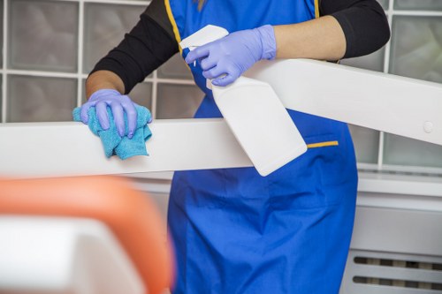 Freshening a rug and carpet after pet accidents in a Roehampton home